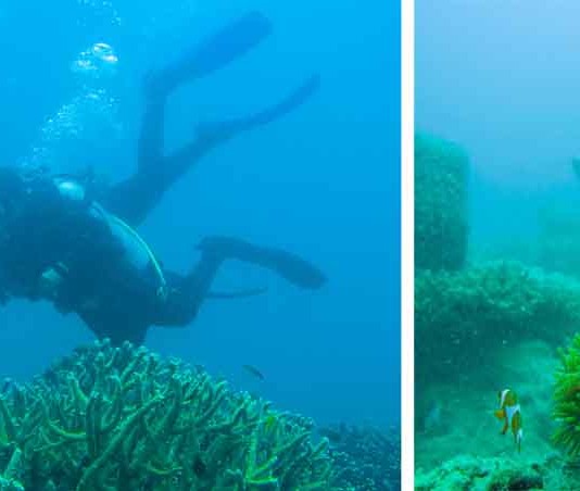 Transportasi Sulit Justru Sebuah Tantangan