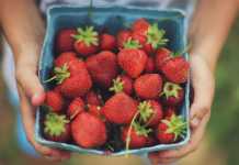 Ini Loh Yang Dikonsumsi Orang Sehat Untuk Sarapan