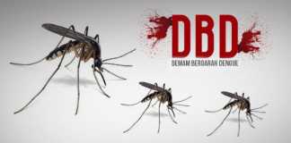 Musim Hujan Waspada DBD