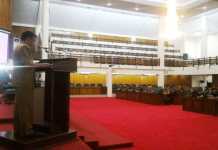 Manaf Urus Anjing Gila Raperda Hewan Terlunta