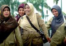 Honorer Jadi CPNS?  Harapan Palsu