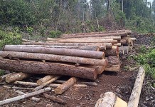 KKU Masih Jadi Surga Para Mafia