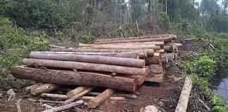 Mari Tepuk Tangan Polda Gagalkan IL