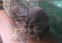 Warga Libya dan Petugas Karantina Bandara Dibekuk