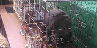 Warga Libya dan Petugas Karantina Bandara Dibekuk