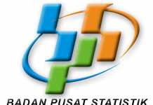 BPS Perlu Nilai Minimum dan Maksimum