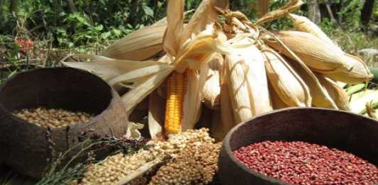 Pemerintah dan Penegak Hukum Diminta Tegas Tindak Mafia Pangan