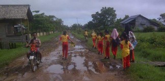 Jalan Menuju SDN 15 Mentubang Berderai