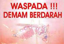 Awas !!! DBD