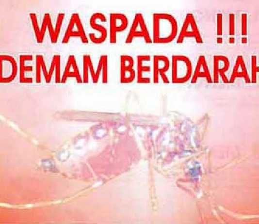 72 Kasus DBD, Tiga Korban Meregang Nyawa