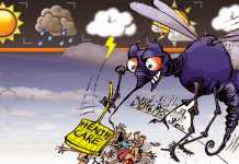 Peralihan Musim, Waspada Diare dan DBD