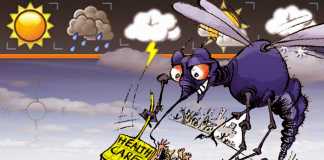 Peralihan Musim, Waspada Diare dan DBD