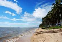 Masuk KLHS, Bangun Pelabuhan di Pantai Kijing