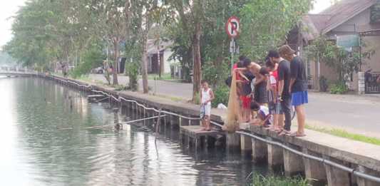 Musim Berubah, Ikan Mabuk Hingga Mati