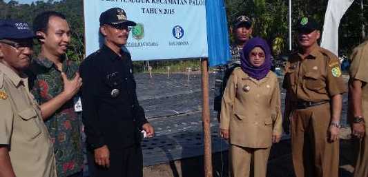 Bupati dan BI Tanam Bawang Merah di Temajuk