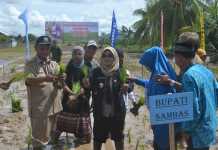 Petani, Pahlawan Perekonomian