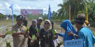 Petani, Pahlawan Perekonomian