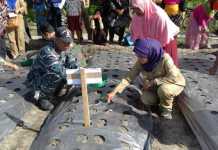 Tanam Bawang Merah di Perbatasan