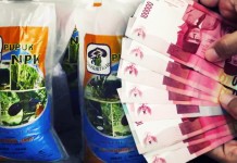 ‘Kecil’ Saja, Diduga Hanya Ngembat Pupuk Rp671 Juta