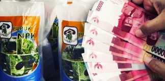 ‘Kecil’ Saja, Diduga Hanya Ngembat Pupuk Rp671 Juta