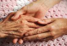 Tidak Hanya Pemerintah