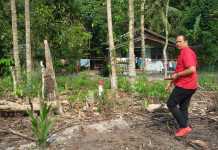 Ada Patok PT. SAP di Tengah Pemukiman Warga