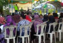 Semuanya Tentang Hutan Gunung dan Lautan