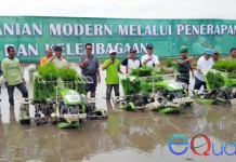 Legislator Kalbar Yakin Data Pertanian Belum Akurat