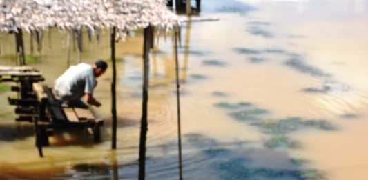 Sungai Sambas Keruh Akibat PETI dan Sawit