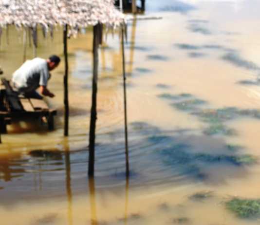 Sungai Sambas Keruh Akibat PETI dan Sawit