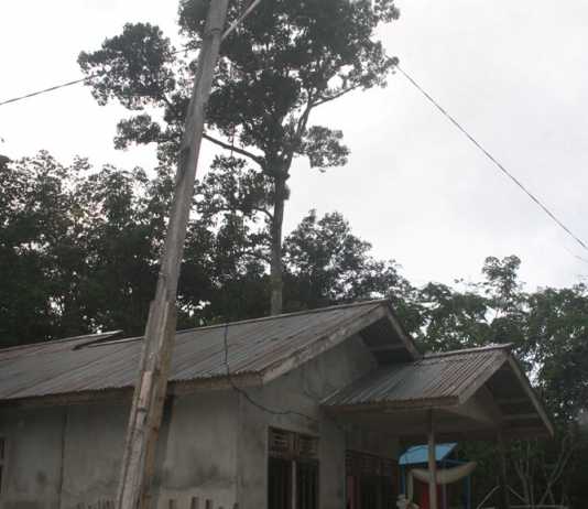 Alamak! Tiang Listrik Kayu PLN Nyaris Patah