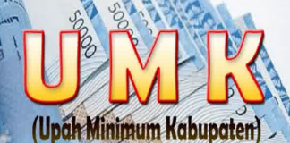 Dari 14 Kabupaten/Kota, UMK Ketapang Tertinggi