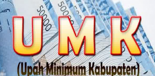 Dari 14 Kabupaten/Kota, UMK Ketapang Tertinggi