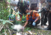 Bayi Baru Lahir Dibuang Bagai Sampah