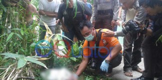 Bayi Baru Lahir Dibuang Bagai Sampah