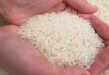 Gubernur pun Bingung, Surplus Beras Dari Mana