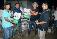 PT SSA Kembangkan Jagung  Hibrida di Bengkayang