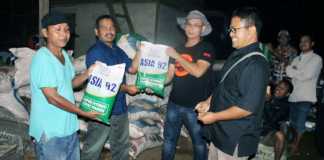 PT SSA Kembangkan Jagung Hibrida di Bengkayang