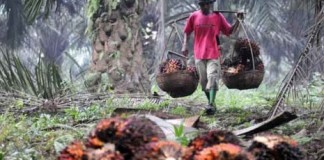 Kurangi Jam Kerja Buruh Harian Lepas
