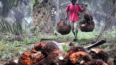 Kurangi Jam Kerja Buruh Harian Lepas