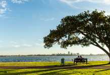 Lomba Clean and Green City