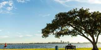 Lomba Clean and Green City