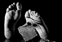 Pemerkosa Di Jembatan Penyeberangan Tewas Didor