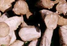 Deninteldam Dihalangi Sopir Truk Berhasil Kabur