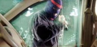 Mobdin Nadjib Dilempar Pakai Bongkahan Semen