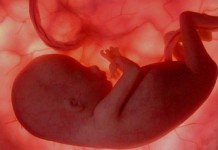 Kesadaran Ibu Memeriksakan Kesehatan Kandungan dan Bayi Masih Terbatas