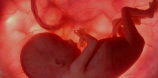 Kesadaran Ibu Memeriksakan Kesehatan Kandungan dan Bayi Masih Terbatas