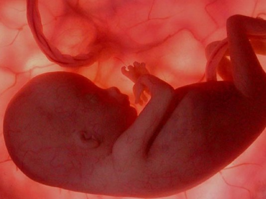 Kesadaran Ibu Memeriksakan Kesehatan Kandungan dan Bayi Masih Terbatas