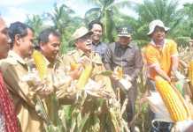 Berupaya Tingkatkan Ketahanan Pangan