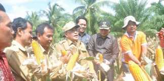 Berupaya Tingkatkan Ketahanan Pangan